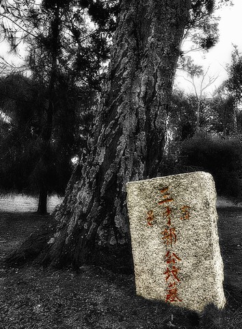 Final Resting PlacePhotography by Debbie Shepherd